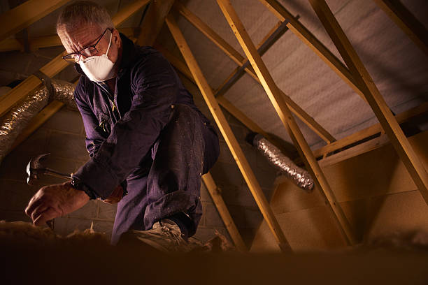 Best Insulation Maintenance and Repair in Obion, TN