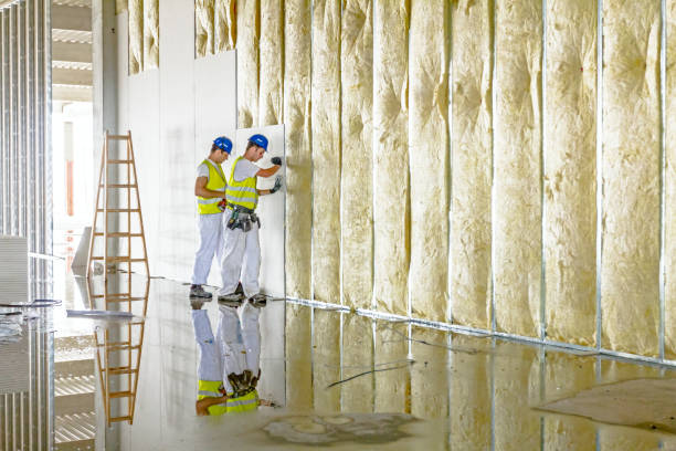 Best Types of Insulation in Obion, TN